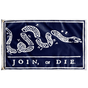 Join or Die Flag on Delft Blue