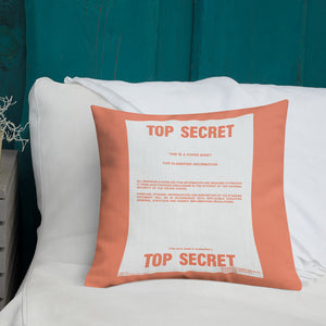 Top Secret/Secret Pillows