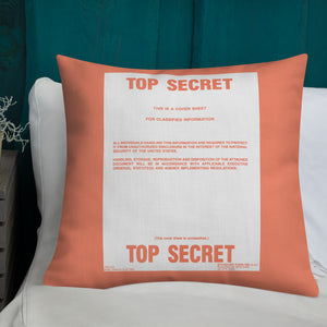 Top Secret/Secret Pillows